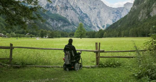 Man on a wheelchair in a mountain meadow